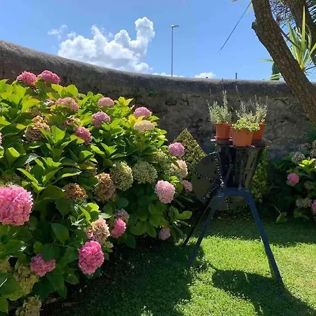 Con Jardin سانتاندر