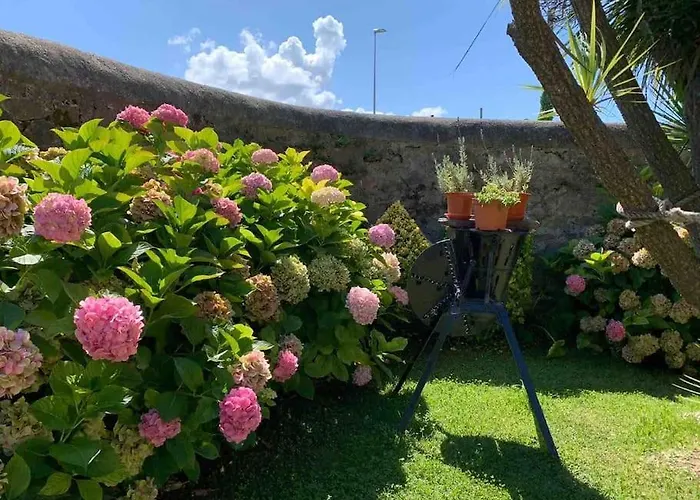 Con Jardin Santander